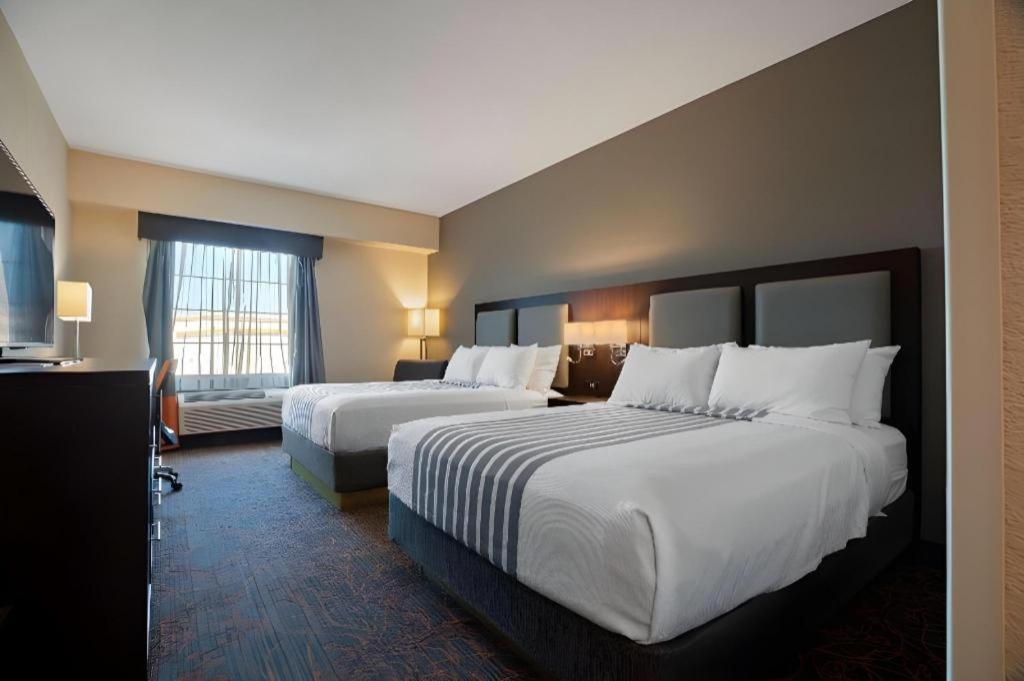 Best Western Plus Executive Inn Toronto Eksteriør bilde